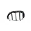 Grille de radiateur BLIC 6502-07-0066991Q - Visuel 1