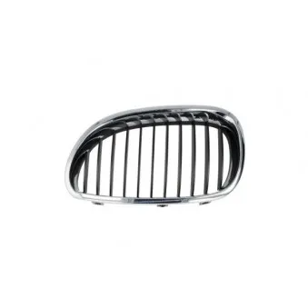 Grille de radiateur BLIC 6502-07-0066991Q