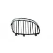 Grille de radiateur BLIC 6502-07-0066991Q - Visuel 2