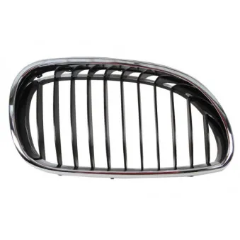 Grille de radiateur avant droit BLIC 6502-07-0066992P