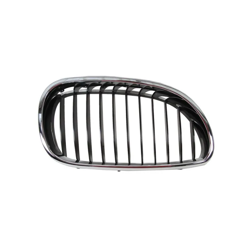 Grille de radiateur avant droit BLIC 6502-07-0066992P