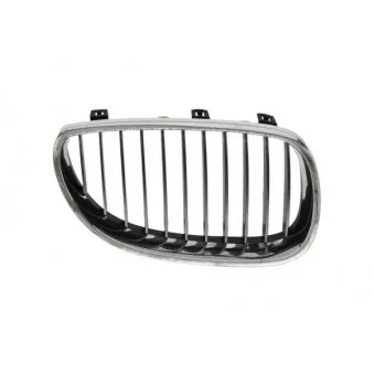 Grille de radiateur BLIC 6502-07-0066992Q