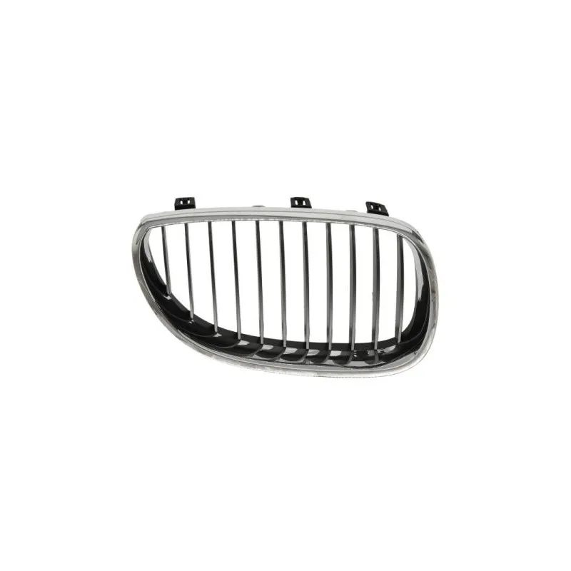 Grille de radiateur BLIC 6502-07-0066992Q
