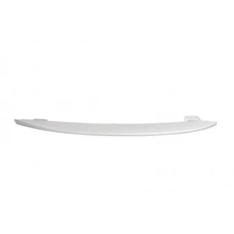 Baguette et bande protectrice, pare-chocs avant gauche BLIC 6502-07-0067927P