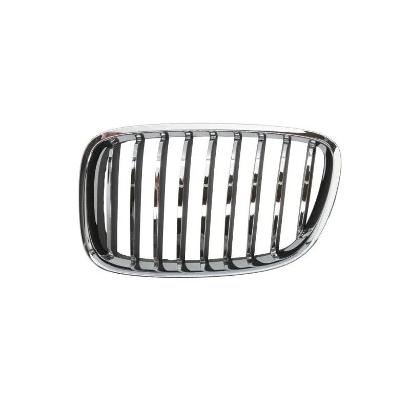 Grille de radiateur avant gauche BLIC 6502-07-00679911P