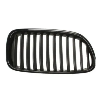 Grille de radiateur BLIC 6502-07-0067991P