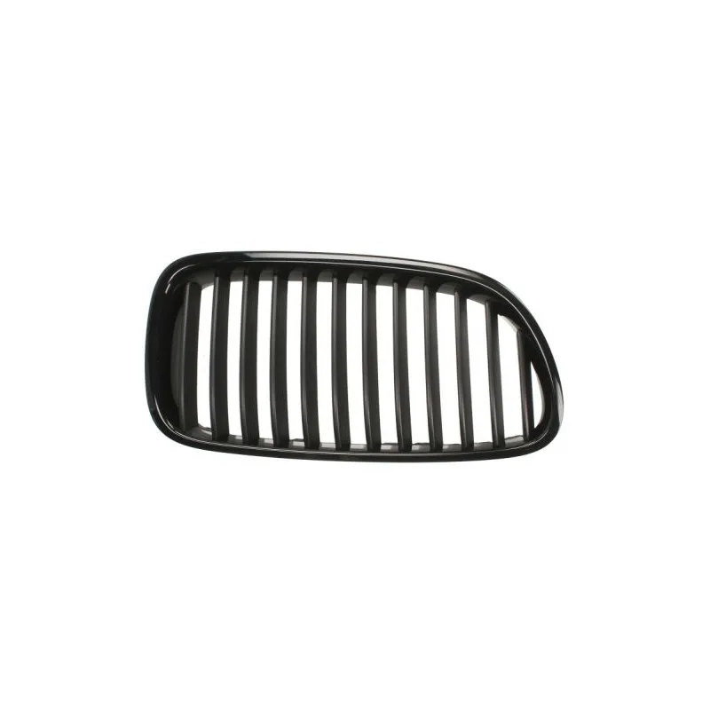 Grille de radiateur BLIC 6502-07-0067991P