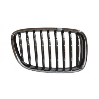 Grille de radiateur avant droit BLIC 6502-07-00679922P