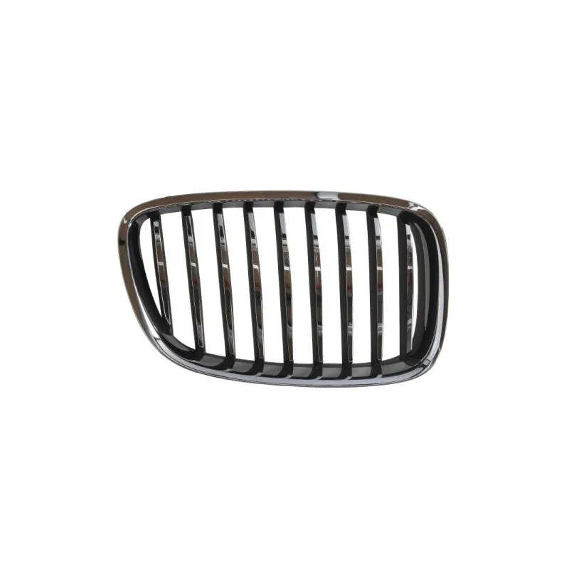 Grille de radiateur avant droit BLIC 6502-07-00679922P