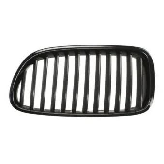 Grille de radiateur BLIC 6502-07-0067992P