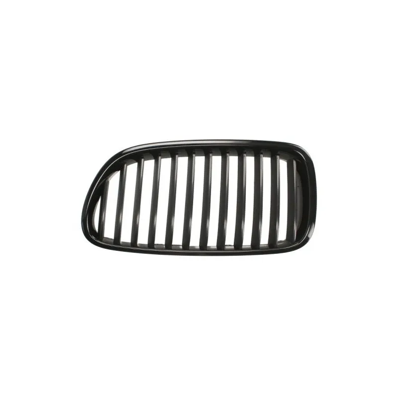 Grille de radiateur BLIC 6502-07-0067992P