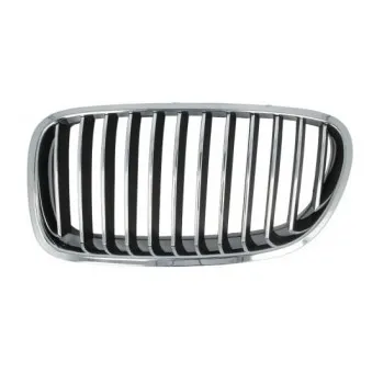 Grille de radiateur BLIC 6502-07-0067993P