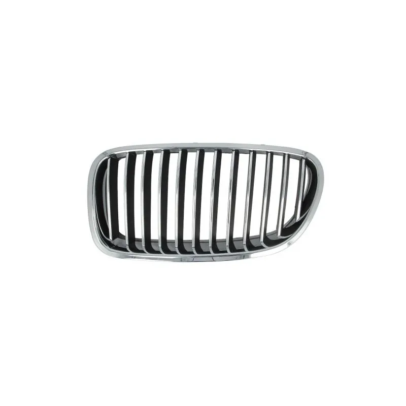 Grille de radiateur BLIC 6502-07-0067993P
