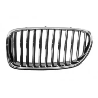 Grille de radiateur BLIC 6502-07-0067993Q