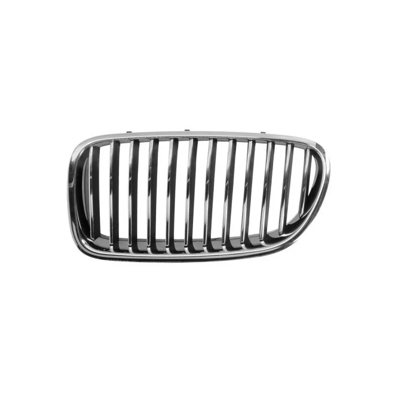 Grille de radiateur BLIC 6502-07-0067993Q
