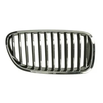 Grille de radiateur BLIC 6502-07-0067994P