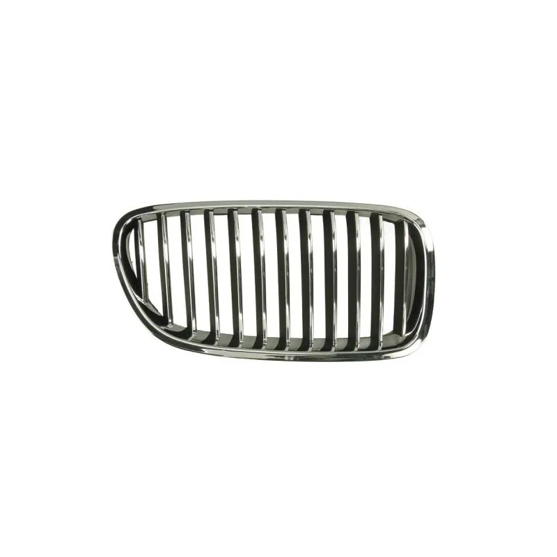 Grille de radiateur BLIC 6502-07-0067994P