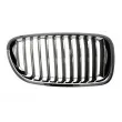 Grille de radiateur BLIC 6502-07-0067994Q - Visuel 1