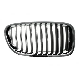 Grille de radiateur BLIC 6502-07-0067994Q
