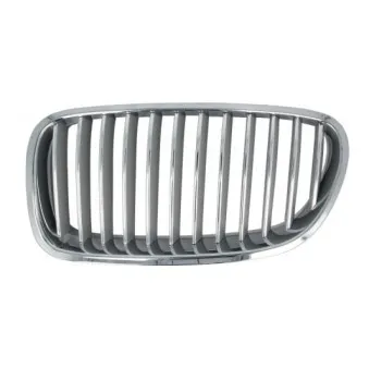 Grille de radiateur BLIC 6502-07-0067995P