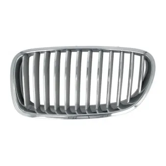 Grille de radiateur BLIC 6502-07-0067996P