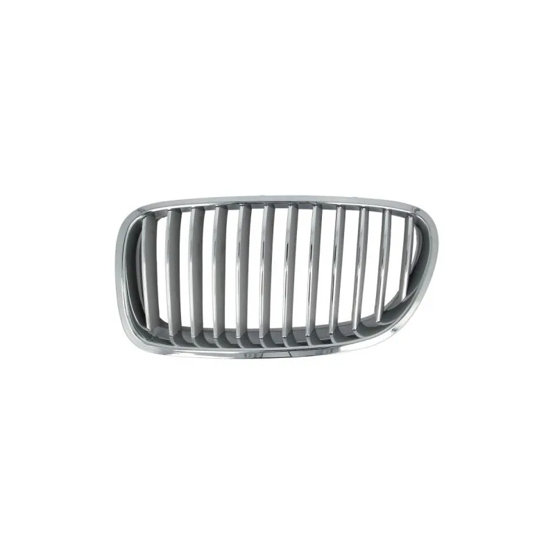 Grille de radiateur BLIC 6502-07-0067996P