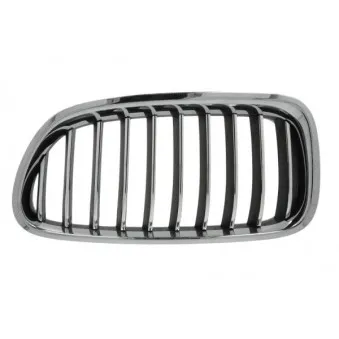 Grille de radiateur avant gauche BLIC 6502-07-0067997P