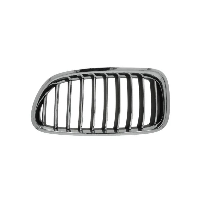 Grille de radiateur avant gauche BLIC 6502-07-0067997P
