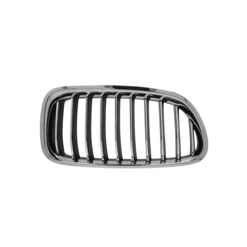 Grille de radiateur avant droit BLIC 6502-07-0067998P