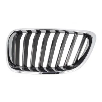Grille de radiateur BLIC 6502-07-0069991P