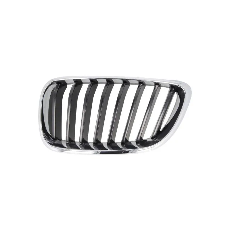 Grille de radiateur BLIC 6502-07-0069991P