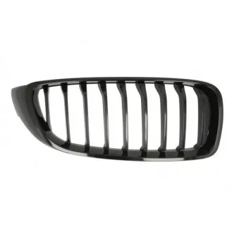 Grille de radiateur avant droit BLIC 6502-07-00709922P