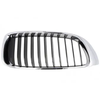 Grille de radiateur BLIC 6502-07-0070992P