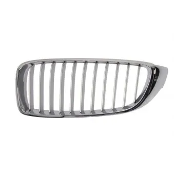 Grille de radiateur BLIC 6502-07-0070993P