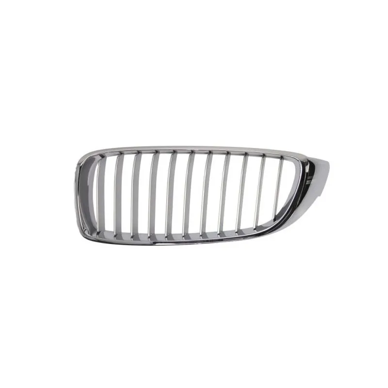 Grille de radiateur BLIC 6502-07-0070993P