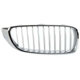Grille de radiateur BLIC 6502-07-0070994P
