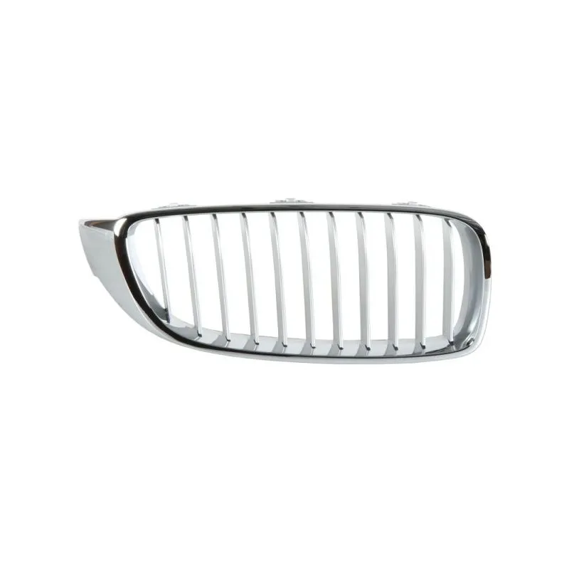 Grille de radiateur BLIC 6502-07-0070994P