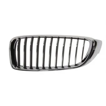 Grille de radiateur BLIC 6502-07-0070997P