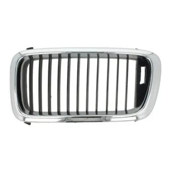 Grille de radiateur BLIC 6502-07-0075991P