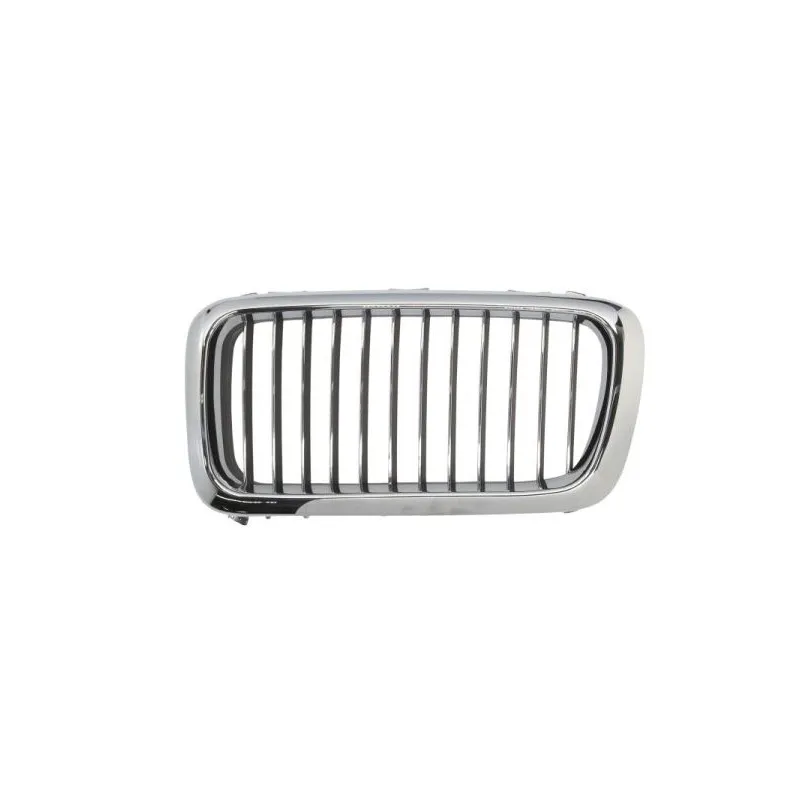 Grille de radiateur avant gauche BLIC 6502-07-0075993P