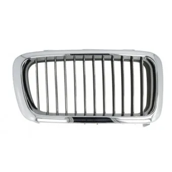 Grille de radiateur avant droit BLIC