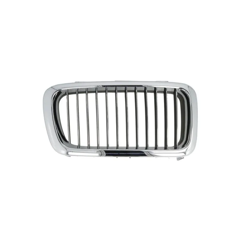 Grille de radiateur avant droit BLIC 6502-07-0075994P