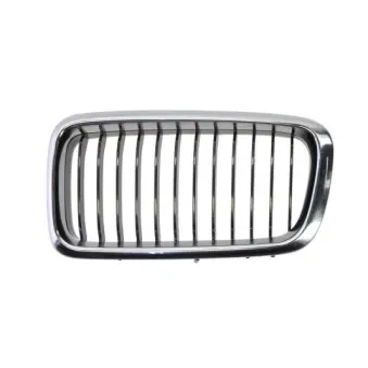 Grille de radiateur BLIC 6502-07-0075995P