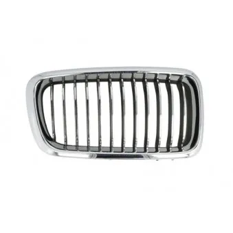 Grille de radiateur avant droit BLIC 6502-07-0075996PP