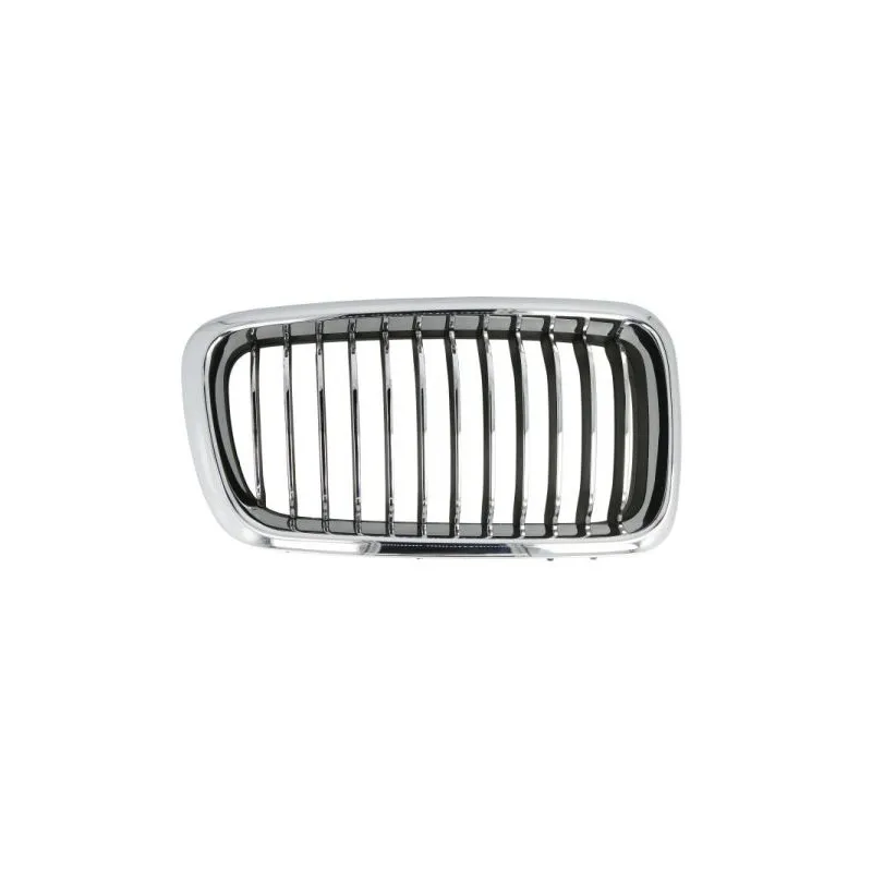 Grille de radiateur avant droit BLIC 6502-07-0075996PP