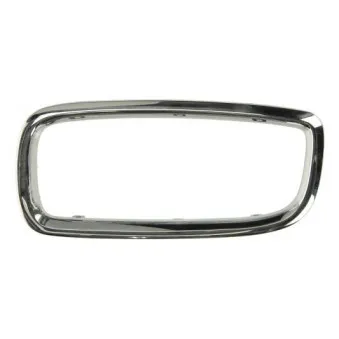 Cadre, grille de radiateur BLIC 6502-07-0075997P