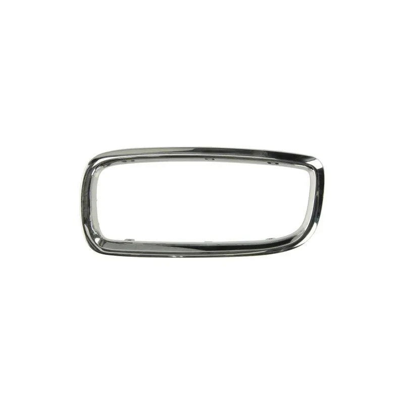 Cadre, grille de radiateur BLIC 6502-07-0075997P