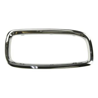 Cadre, grille de radiateur BLIC 6502-07-0075998P