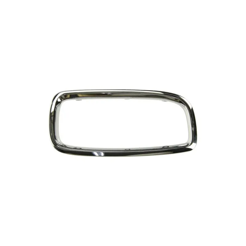 Cadre, grille de radiateur BLIC 6502-07-0075998P