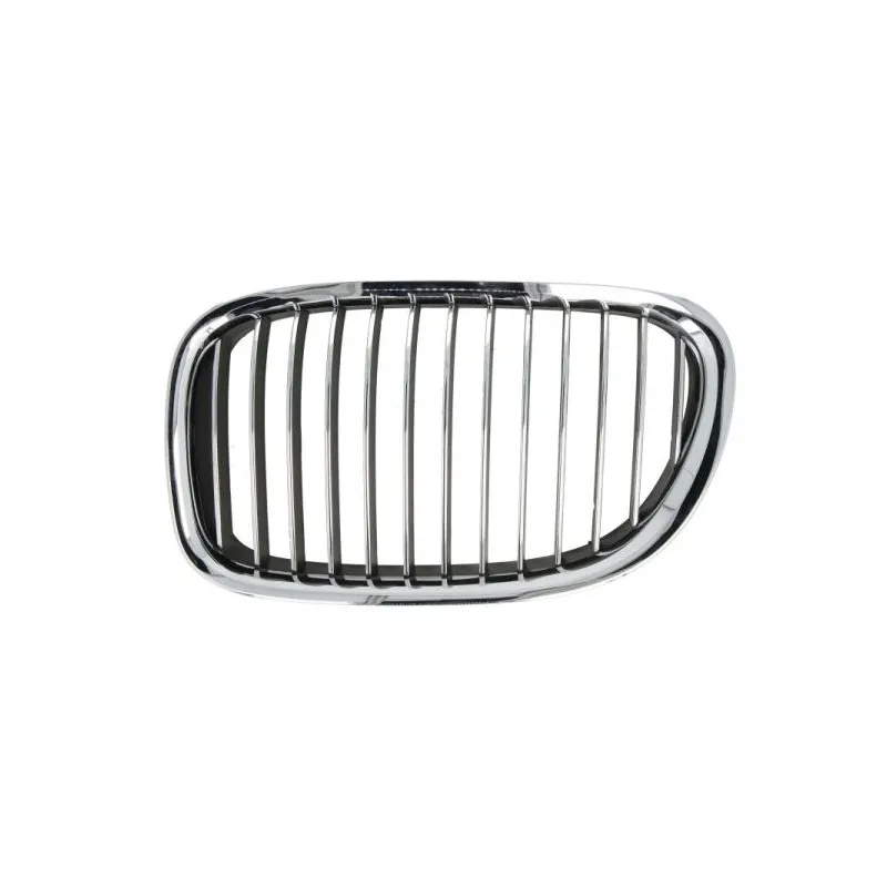 Grille de radiateur avant gauche BLIC 6502-07-0077991P